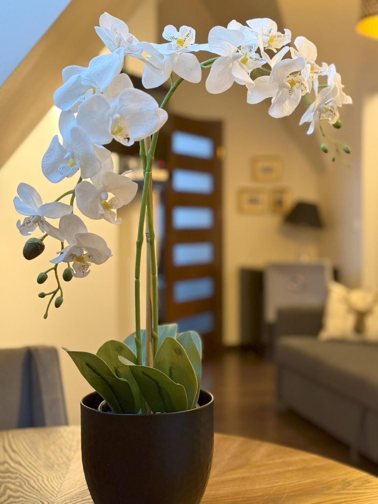 Apartament Glamour I Zakopane Esterno foto